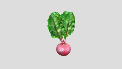 beetroot - buy royalty free 3d model 3dlowpoly food supermarket realistic kitchen vegetable vegetables grocery groceries greens lowpoly poly gameready 3d print model - Mito3D