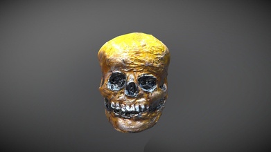 big skull scan 2021 - download free 3d model carriage cemetery knowmatt 07901fe 3d print model - Mito3D