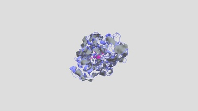 biol244 asetilkolinesteraz sarin - 3d model katiereid 8160a7d enzim arasında biyomoleküler etkileşim gösterir arıza nörotransmiter asetilkolin katalizler sinaptik iletim sonlandırın adam-aslında pestisit ancak insanların maruz kaldığı ölümcül üretilen sinir ajan yaptı gri yüzeyler hidrofobik bölgeler enezyme belirlemek pembe sopa katalitik aktif site göster çok renkli farklı elementi temsil eden her renk görüntüler mor kalan protein omurga yapısı küçük yeşil noktalar yeniden su molekülleri 3d print model - Mito3D