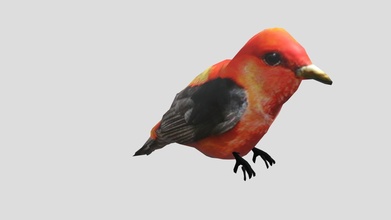 bird - scarlet tanager download free 3d model eviemarie yvonnedebandi fdee354 3d print model - Mito3D