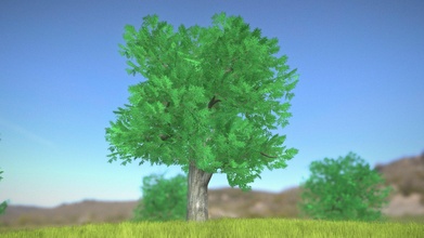 black locust tree robinia - 15m buy royalty free 3d model vis-all-3d vis-all plant landscape forest park branch vegetation high-poly leave 3dhaupt pseudoacacia environment 3d print model - Mito3D