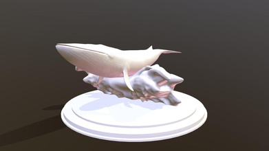 blue whale stand - 3d model alexisabbott 16e6235 world&rsquo s largest animal riding some waves 3d print model - Mito3D