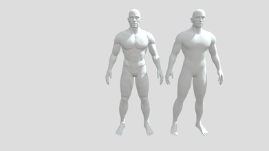 Körper Anatomie Topologie Studie 3d Modell Tungd de29396 3d print model - Mito3D
