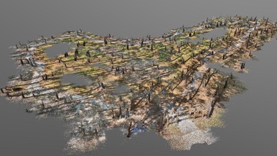 bogue chitto kids trail rough point cloud - download free 3d model bourgoynestudio 1a00a48 3d print model - Mito3D