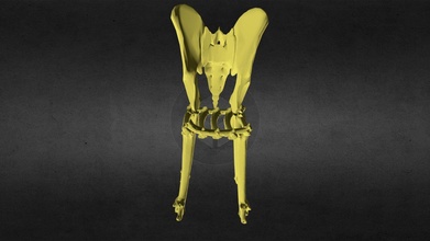 osso cadeira baixar livre 3d modelo danielv4 e6757ae 3d print model - Mito3D