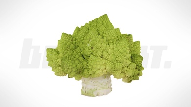 botscan momentum romanesco broccoli çiğ botspot 3d model botspot3d dc327b8 3d print model - Mito3D