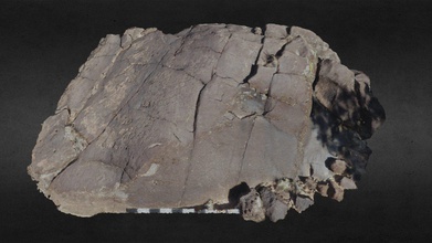 boulder w archaic petroglyphs 07 014 335-ch - 3d model mesa prieta petroglyph project mesaprieta 8463062 shallow wash sloping escarpment northern new mexico along banks rio grande two panels date region&rsquo s early period between 9 500 3 years ago because their age these have developed dark patina makes them difficult see however some pecked deeply enough cast shadow 501 c community-based non-profit dedicated education heritage stewardship preservation archaeological features cultural environment valley through documentation outreach more information please visit https wwwmesaprietapetroglyphsorg 3d print model - Mito3D