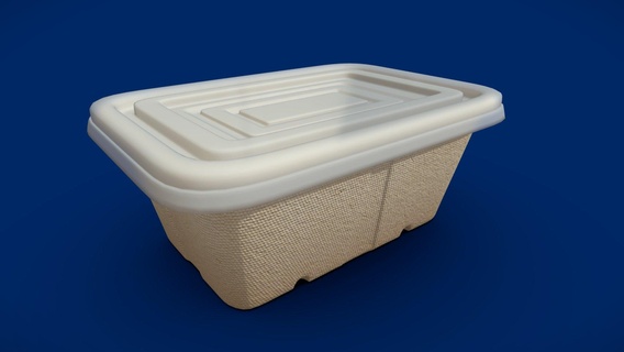 box food cardboard container - disposable buy royalty free 3d model we3do we3domodel storage packaging recycling paper pack foam package cardboardbox biodegradable polystyrene compartment packet styrofoam cardboard-box compostable serveware 3d print model - Mito3D
