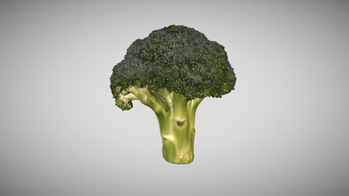 broccoli floret 2 3d scan photogrammetry - buy royalty free model sky tesi skytesi 562001c captured canon 5dsr macro lens using cross-polarization lighting flat light elimination highlights which captures more true color points point cloud then surfaced mesh package includes low high poly objs 4 604 polys 73 640 diffuse map 4k normal glossy 2k specular mtl files so you can drag-and-drop view obj texture models have quad meshes uvs 3d print model - Mito3D