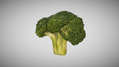 broccoli floret 3d scan photogrammetry - buy royalty free model sky tesi skytesi e23af3c captured canon 5dsr macro lens using cross-polarization lighting flat light elimination highlights which captures more true color points point cloud then surfaced mesh package includes low high poly objs 6 208 polys 99 328 diffuse map 4k normal glossy 2k specular mtl files so you can drag-and-drop view obj texture models have quad meshes uvs 3d print model - Mito3D
