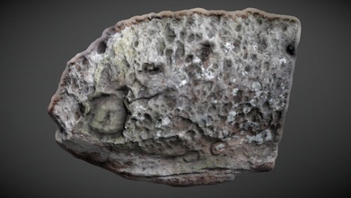 broughmore wood 4 - cup & ring marked rock download free 3d model algarvenick 2ec978c 3d print model - Mito3D