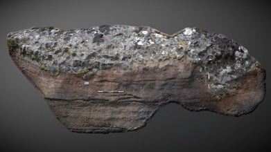 broughmore wood 8 - cup & ring marked rock download free 3d model algarvenick 4fa8e9b 3d print model - Mito3D