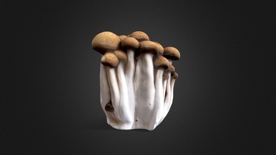 brown beech mushroom - 3d model ti tihuang f9aa1ec 3d print model - Mito3D