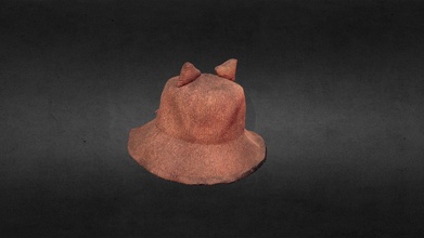 brown hat - download free 3d model thunk3dscanner ce398d5 3d print model - Mito3D