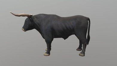 bull - buy royalty free 3d model 3dlowpoly cow torus animals fbx farm realistic nature toro lowpoly poly animal gameready 3d print model - Mito3D