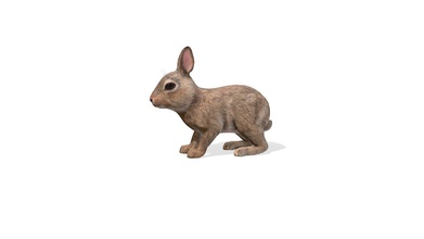 tavşan animasyonlar satın almak telif Bedava 3 boyutlu model Billl90 a55121c 3d print model - Mito3D
