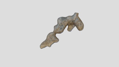 burrow cast - download free 3d model elliottmm 0712606 caliche likely cicada collected near walla wa structures common palouse loess south eastern washington 3d print model - Mito3D