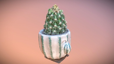 cactus pot agisoftnaturechallenge - download free 3d model mparz pjed fb6f531 3d print model - Mito3D