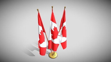 Canada bandiera pacco acquistare royalty gratuito 3d modello dragosburian d9c5e2c 3d print model - Mito3D