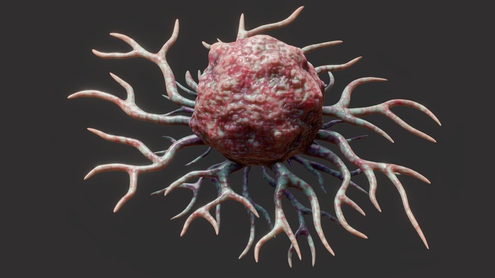 kanser hücre satın almak telif bedava 3d model by zames1992 mikroskop anatomi biyoloji mikro sistemi kafes büyüme t hücreler organlar bilim ilaç üreme hastalık mikrop onkoloji mikrobiyoloji hayvan tıbbi lenfosit sitotoksik 3d print model - Mito3D