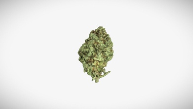 cannabis bourgeon 6 acheter royalties libre 3d modèle defnotdan 6eac622 3d print model - Mito3D