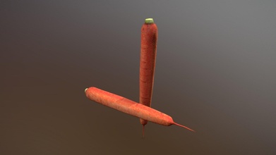 carrot - vegetables download free 3d model imon ustal simonustal 50412b6 3d print model - Mito3D