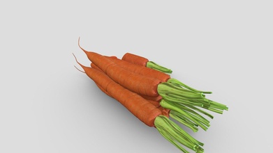 carrot fruit 3d model - buy royalty free chandrarati 3a11349 3d print model - Mito3D