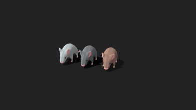 cartoon low poly rat pack - download free 3d model overaction game studio overactiongamestudio 2c9b95f 3 rats medieval like adventure games if you creating rpg consider prototyping using packs below modular dungeon props tileset 3d print model - Mito3D