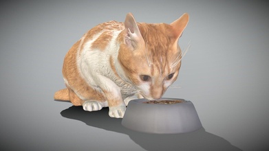 kedi yemek yiyor Gıda 12 satın almak telif Bedava 3d model deep3dstudio b8ce885 3d print model - Mito3D