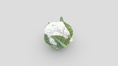 cauliflower vegetables 3d model - buy royalty free chandrarati 7d1603b 3d print model - Mito3D