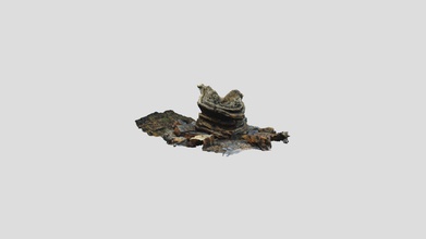 cellardyke gül - download ücretsiz 3d model earthsciarch 9662119 ancientlands bilinen fife yakınlarındaki çökme yapısı karbonifer kumtaşları aşınmış yerel yükseldi 3d print model - Mito3D