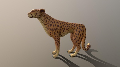 ghepardo giungla safari acquistare royalty gratuito 3d modello cgwings chandansingh512 563206f 3d print model - Mito3D