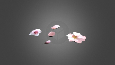 cherry blossom petals flowers flower bud - download free 3d model rbg illustrations starkindustries adc6009 3d print model - Mito3D