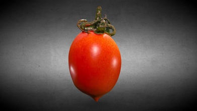 Cerise tomate Télécharger libre 3d modèle Moshe chien Mosheca 01e9b3b 3d print model - Mito3D