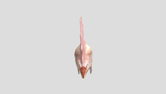 chicken head - buy royalty free 3d model 3dlowpoly food supermarket realistic kitchen fillet fries hypermarket lowpoly low poly gameready chickenhead 3d print model - Mito3D
