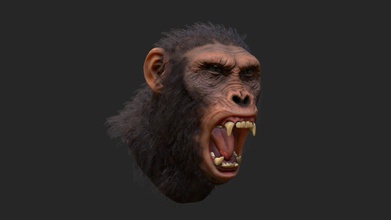 chimp bust - 3d model owenedwards noonesaidwords 36be331 decided take old sculpt try get realistic-looking game ready using one set 2048 textures over my artstation have pictures along short timelapse showing process 3d print model - Mito3D