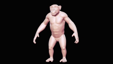 scimpanzé basemesh 3d modello acquistare royalty gratuito contadino peternak3d 5fbab41 3d print model - Mito3D