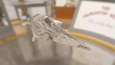 chm pv8710 déterminer baleine crâne 3d modèle charleston musée 54fad16 3d print model - Mito3D