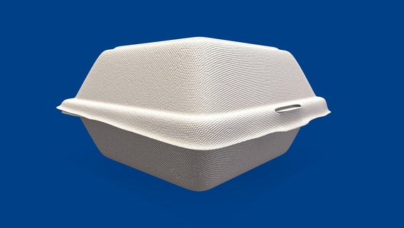 close box disposable - food styrofoam container buy royalty free 3d model we3do we3domodel packaging paper pack cardboard foam dessert packing foodbox polystyrene cardboard-box packing-carton-boxes plastic packing-paper packing-box serveware 3d print model - Mito3D