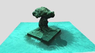 co existence 3d modèle mer échapper paysage marin d256cd5 3d print model - Mito3D