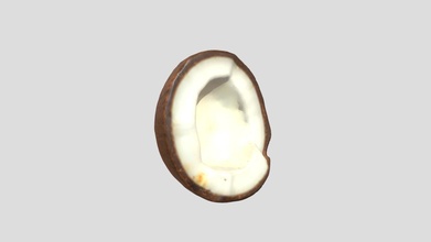 coconut - buy royalty free 3d model sieluroho scanner plant food fruit organic scanning tropical clean meal eat artec 3dprinting print realistic real coco photoreal artec3d grammetry artec-leo photogrammetry scan 3dscan polyons cokernut photorelistic 3d print model - Mito3D