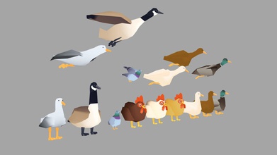 common birds - buy royalty free 3d model vertexcat 245d211 textured variations chicken duck farm scene plus few other you might find around town 3d print model - Mito3D
