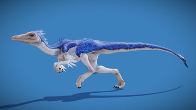compsognathus longipes - satın royalty free 3d model kyan0s f6e2f39 tüylü theropod Jura dönemi ı ve %25 yapılan blender krita gimp 3d print model - Mito3D