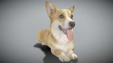 corgi dog lying 03 - buy royalty free 3d model deep3dstudio 5df3475 3d print model - Mito3D