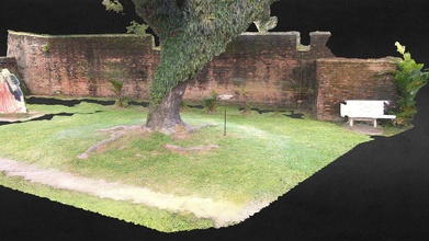 cornwallis tree cropped - 3d model nate siddle sid 8fb1042 3d print model - Mito3D