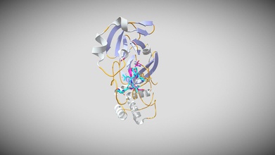 covid-19 protéase n3 inhibiteur du complexe - modèle 3d davidaurs 1f8fcd0 cible potentielle de développement médicament anti-viral principal la sras-cov-2 mpro qui code pour l'arn génome nécessaire transcription, réplication virale dans le traitement maturation réplicase polyprotéines donc des effets inhibiteurs peuvent prévenir les maladies proliférantes structure cristalline virus mécanisme à base d'inhibiteur montre une affinité liaison clé cibles verrouillage l'enzyme covalente démontre potentiel désactivation en anti-vrial médicaments enrayer menace l'épidémie 3d print model - Mito3D