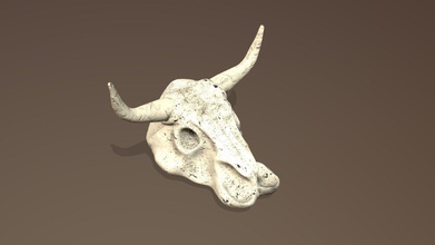 vaca - descargar gratis 3d modelo looperman86 e6914dd el ujo de esqueleto la cabeza 3d print model - Mito3D
