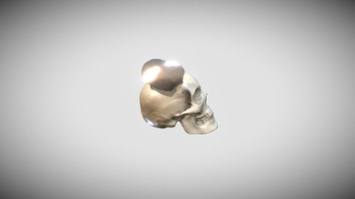 cranioplastia baixar livre 3d modelo Andayah 66cd5c3 3d print model - Mito3D