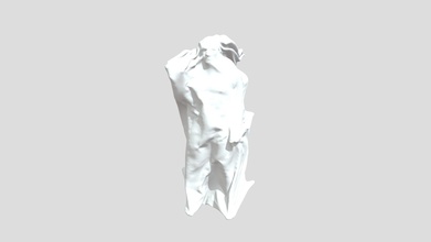 daniel-arsham hollow-figure - 3d model aruppal28 575c973 3d print model - Mito3D