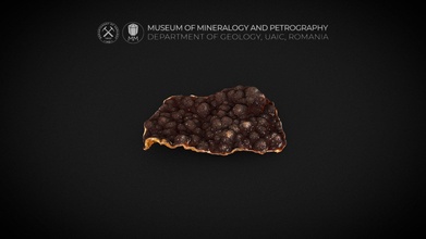 dunkel braun botryoidal Siderit Kruste 3d Modell Museum Mineralogie Petrographie uaic mineralogypetrographymuseum 5ec2d84 3d print model - Mito3D